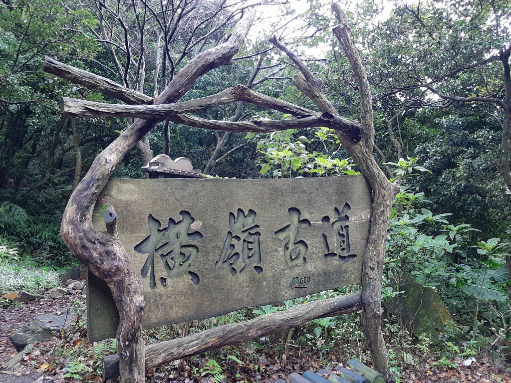 古道探訪｜竹林小徑、百年老樹幽靜古道_1180388
