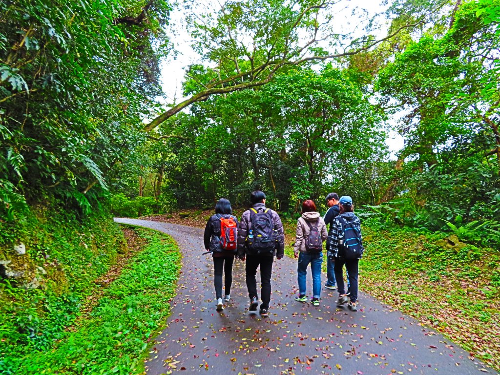 好療癒及老少咸宜的步道：百吉林蔭步道_551062