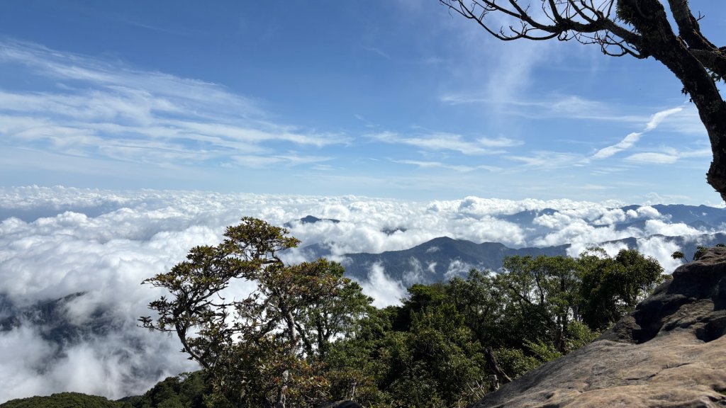 雲海封面圖