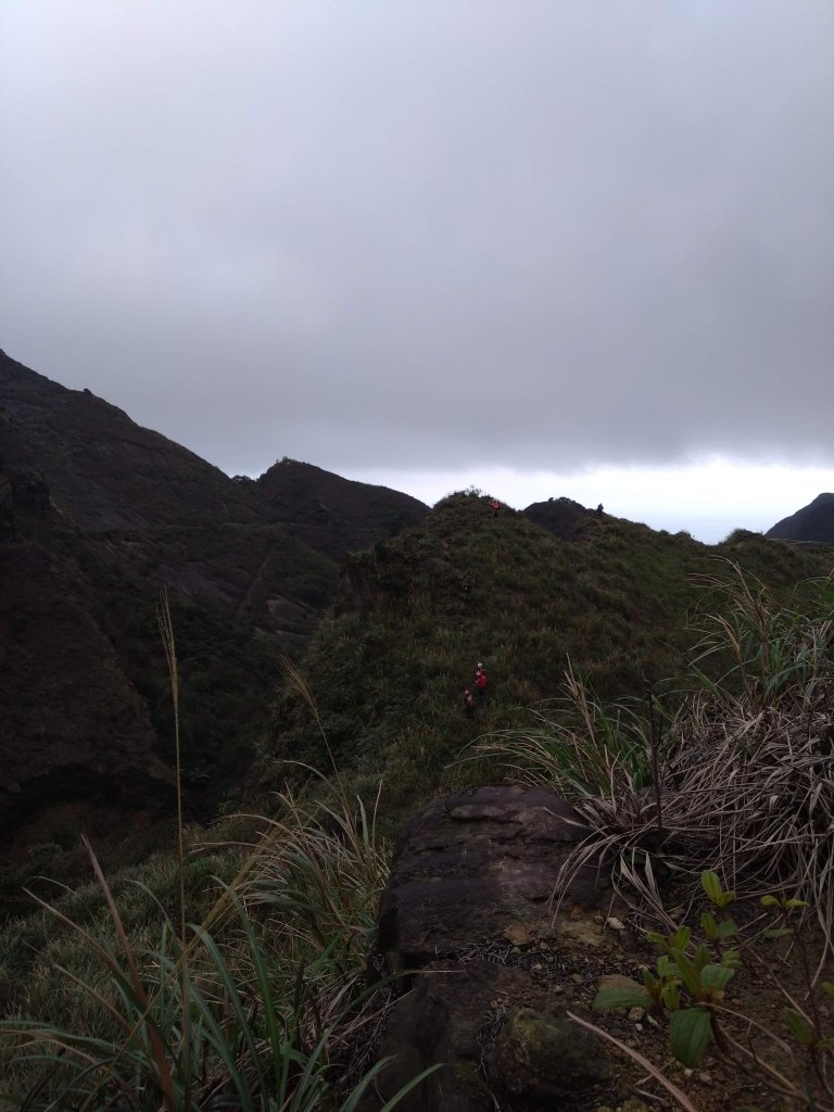 黃金七八稜_2433783