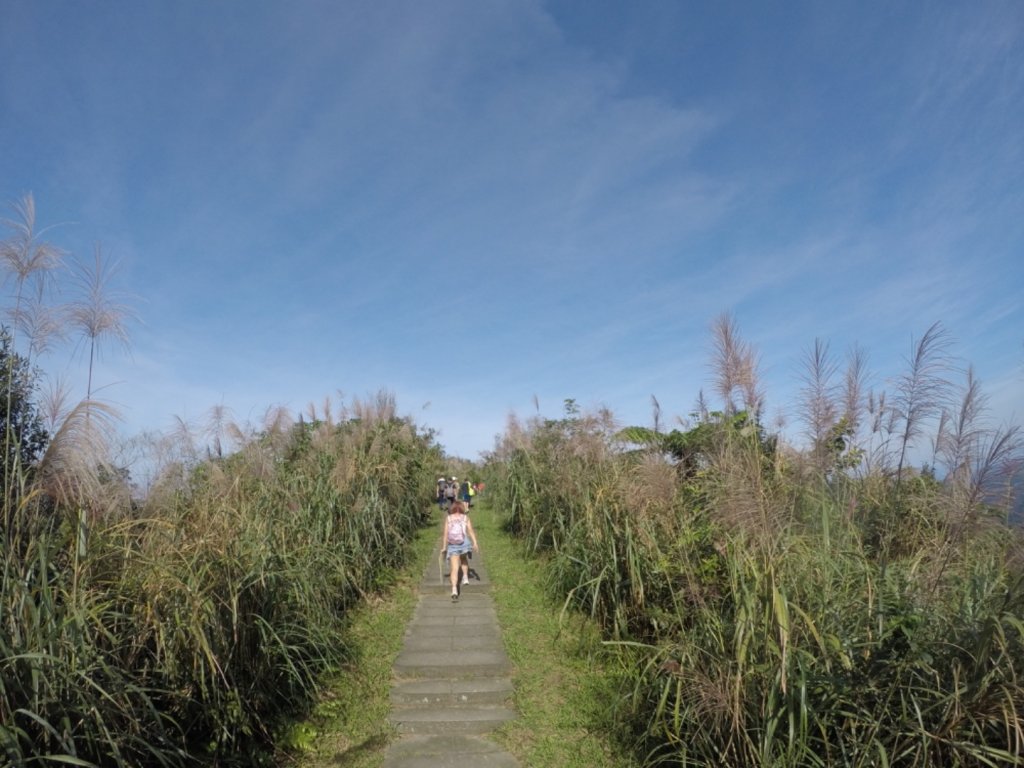 2019.11.10-五分山步道_2013666