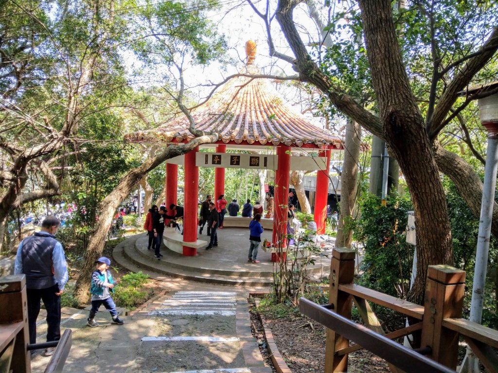 新竹十八尖山(小百岳)_880086