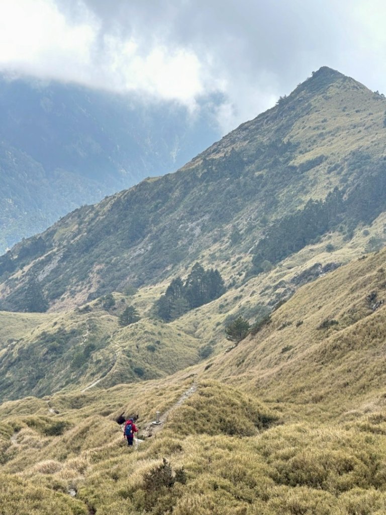 20250427-28合歡群峰之跳🤸 小奇萊 東峰 合歡尖 石門山_2773036