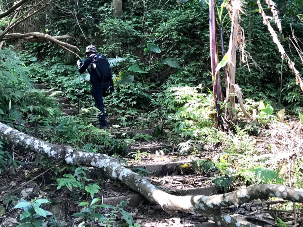 麒麟步道縱走田薯連峰_1666492