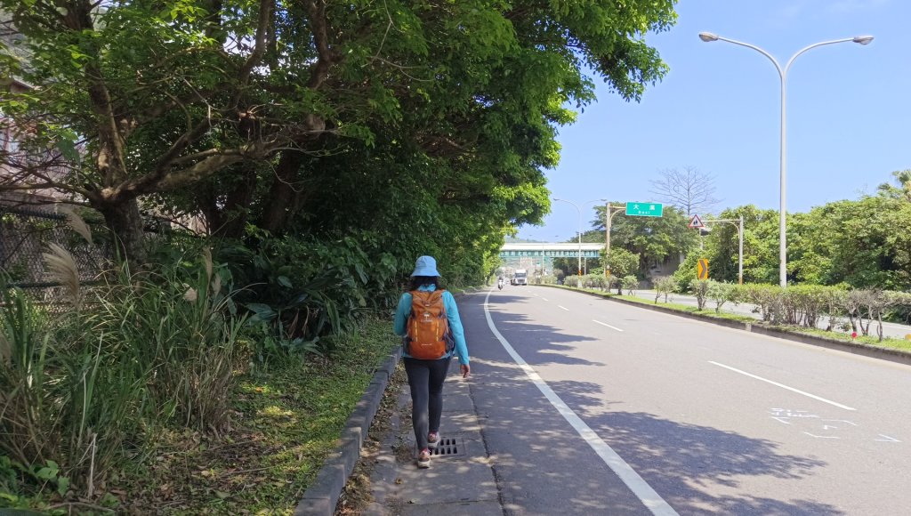 (姨婆趴趴走)第四十九集:攀登連走宜蘭梗枋山、橋板湖山_2747773