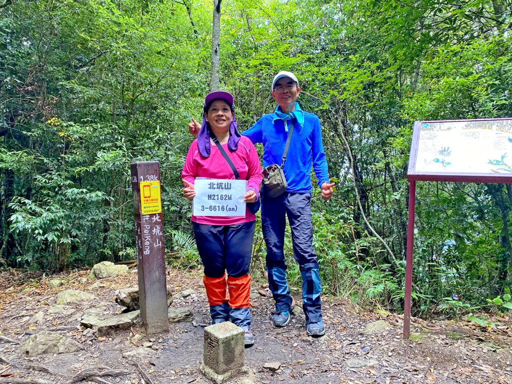 再訪雪見北坑山大板根 2020/9/5封面圖