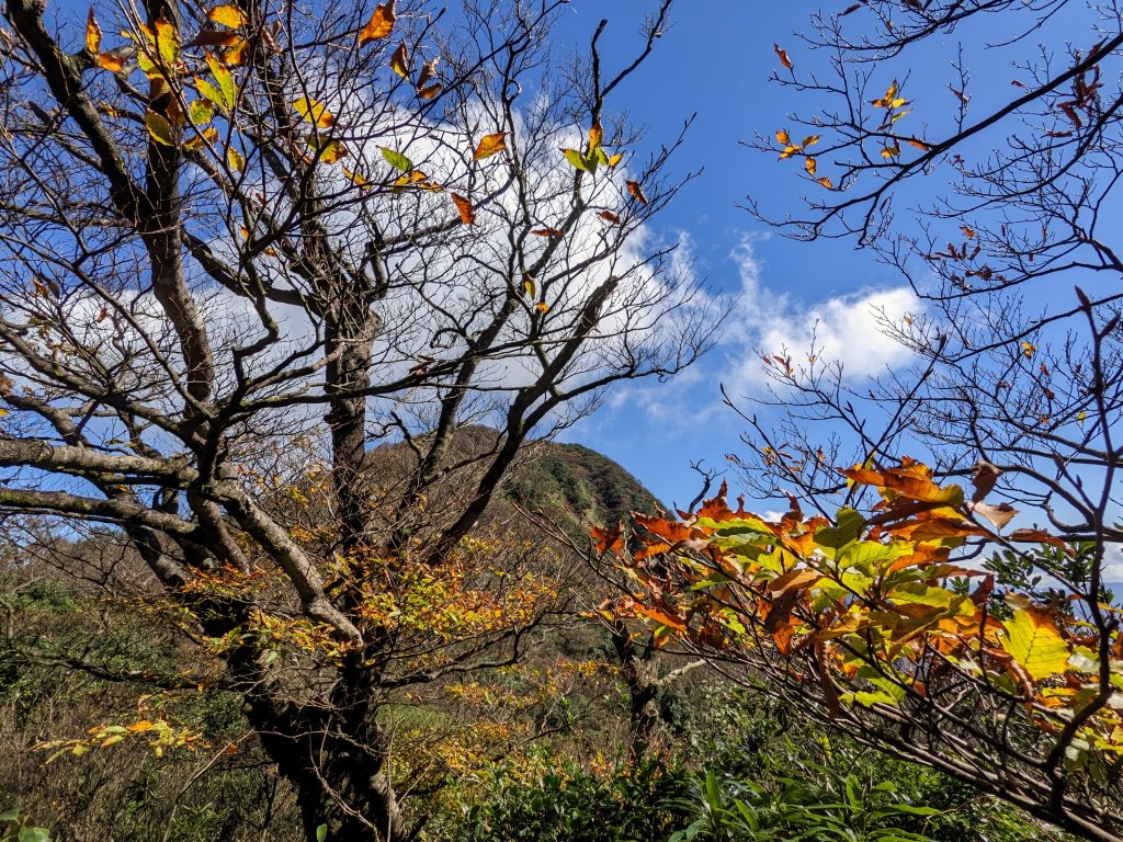 卡保山封面圖