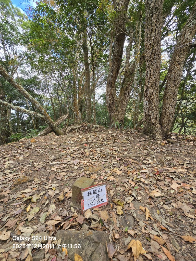 2025-12-20橫龍古道_2967598