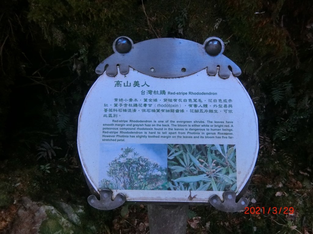 翠峰湖環山步道_1557904