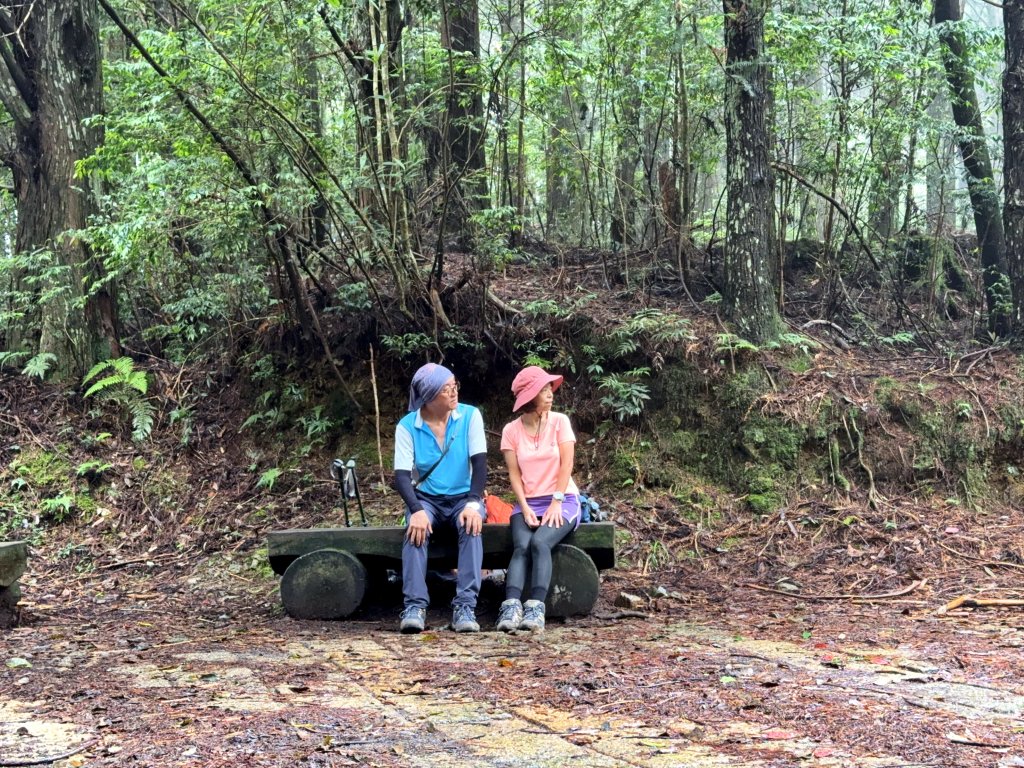 司馬限林道 訪 北坑駐在所_2811079