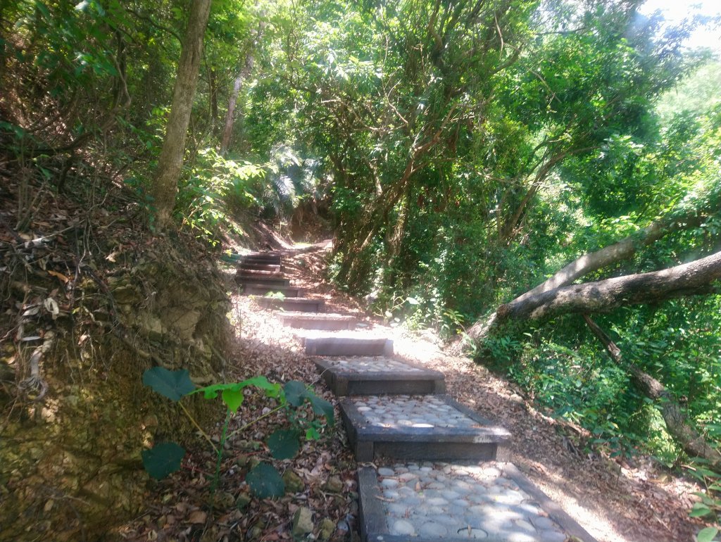 二坪山古道（土地公鞍古道）上下來回_969506