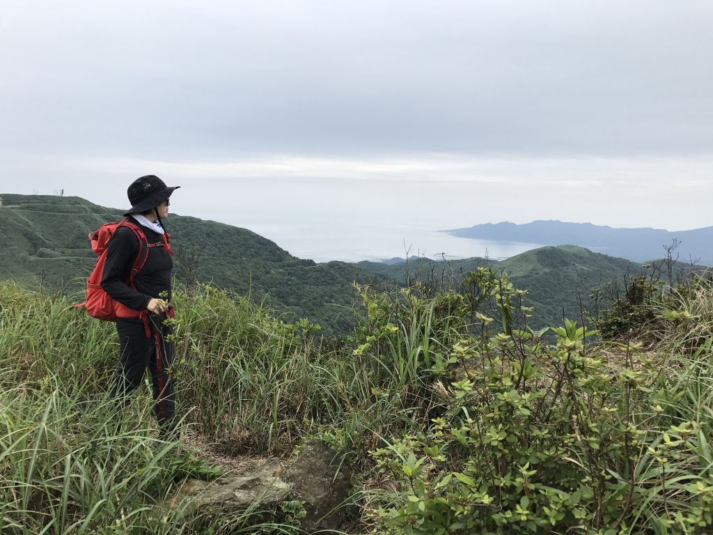 登燦光寮山環走貂山古道_131433