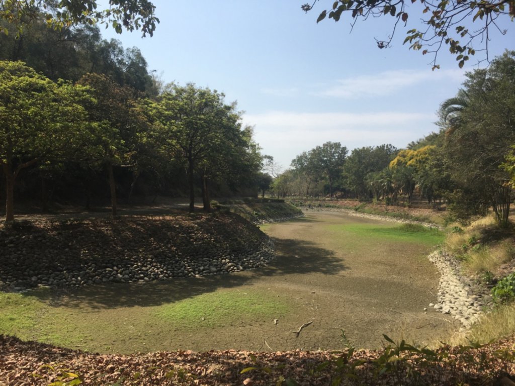 烏山頭水庫、八田與一、鎮南宮後山步道、南洋櫻花_2043213