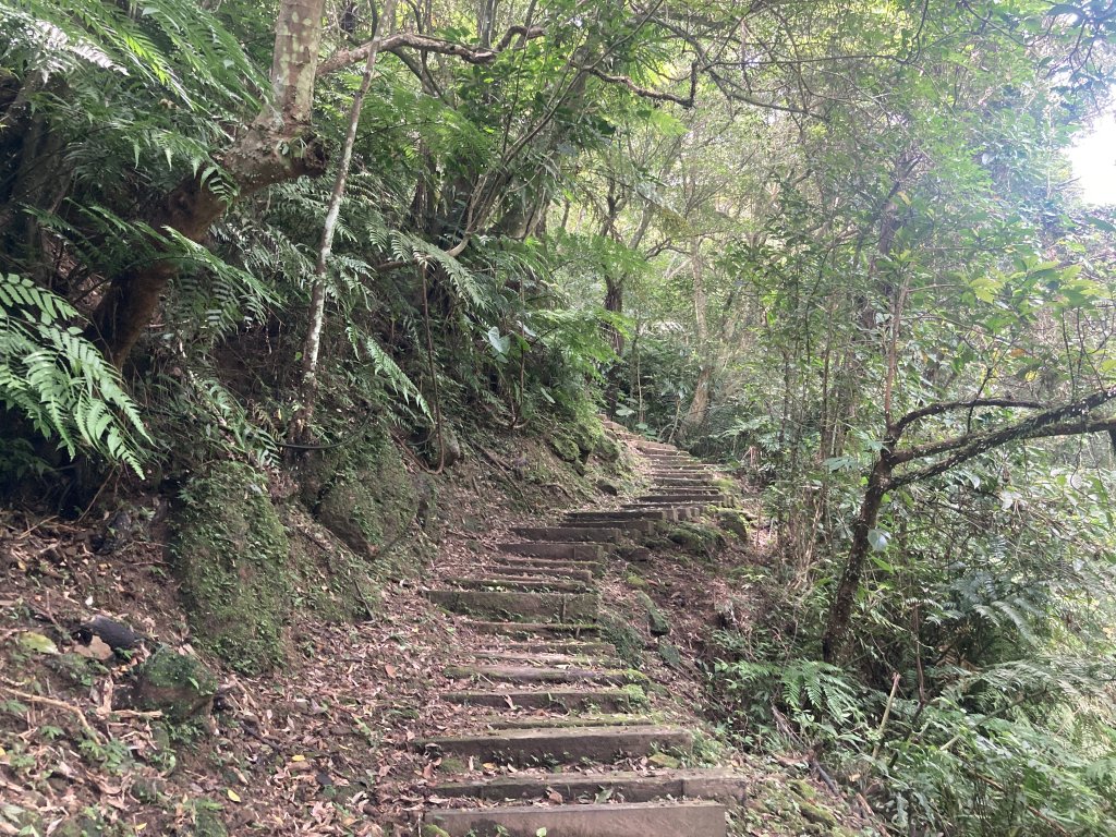 土庫岳_2527726