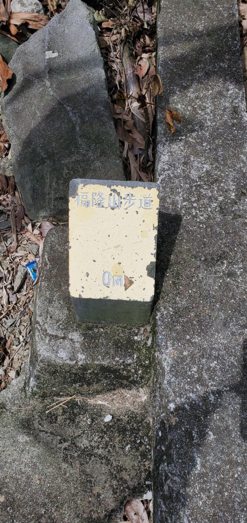 2024-06-15觀音山【福隆山、尖山(占山)登山步道】O走_2528194