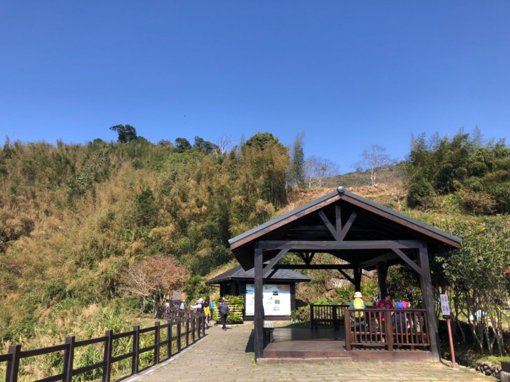 嘉義縣番路鄉二延平山_1965558