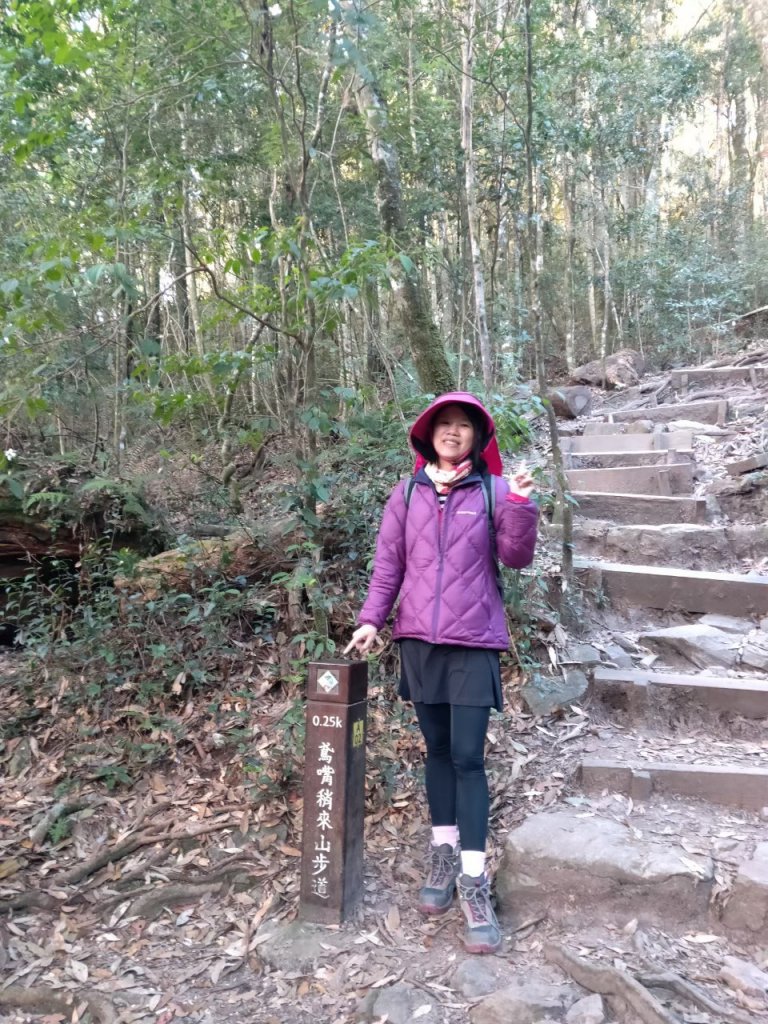 【忠の鳶嘴山】~無敵山景高清視野~20201206_1770680