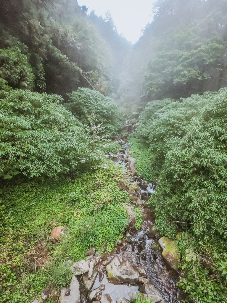 20200614-[嘉義] 自忠山，東水山。_1635845