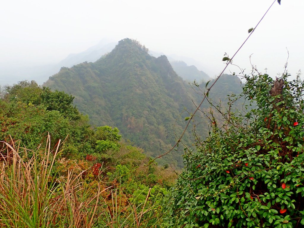 旗月縱走 2019/3/24_551766