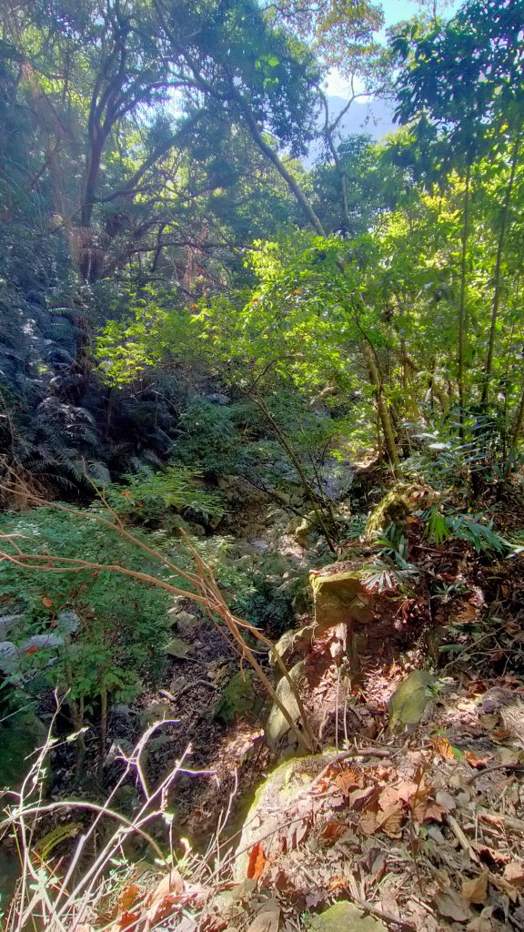 「水雲三星」之首 苗栗虎山_1538751