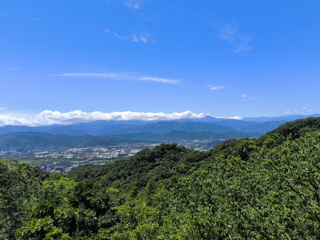20250815微笑山線大棟山系百年大榕樹段封面圖