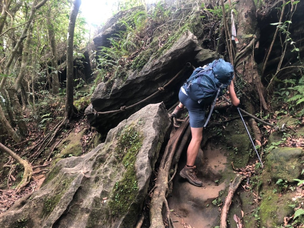 皇帝殿登山步道【闖過重重險關 登上頂峰 _1070839