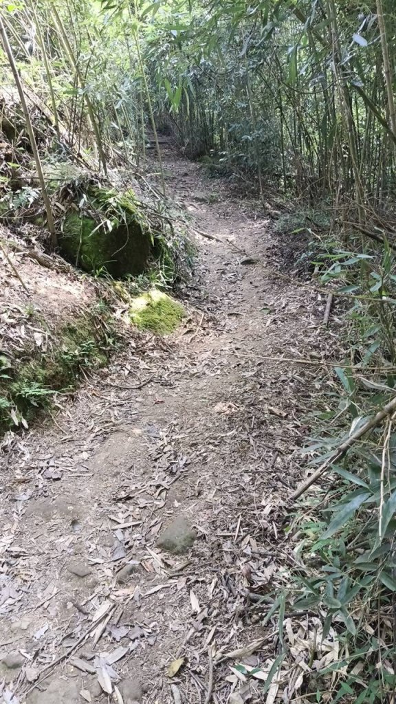 20251004 馬那邦山 - 珠湖 登山口_2904913