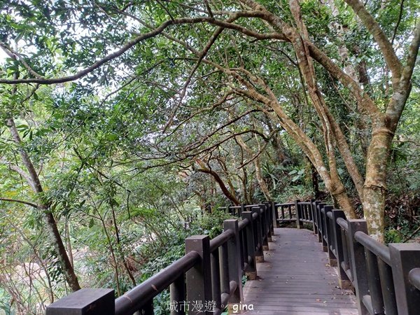 【苗栗南庄】沿途潺潺溪水聲。 蓬萊溪護魚步道_2688908