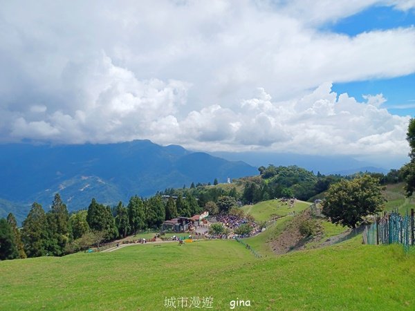 【南投仁愛】霧上桃源。 清境農場景觀步道封面圖