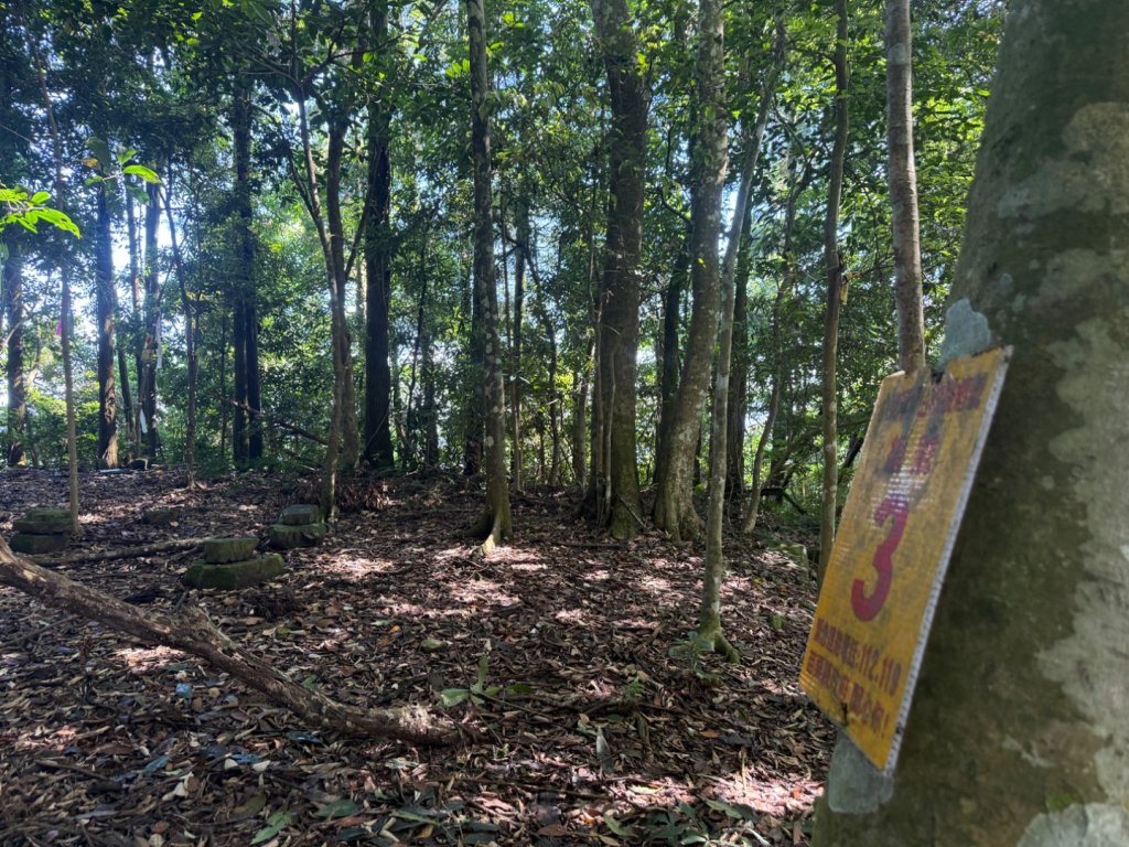 20250607 春谷養鱒場所上加里山 出大坪_2805204