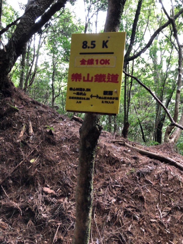 樂山鐵路林道、鹿坑山、尤命神木O走_1468140