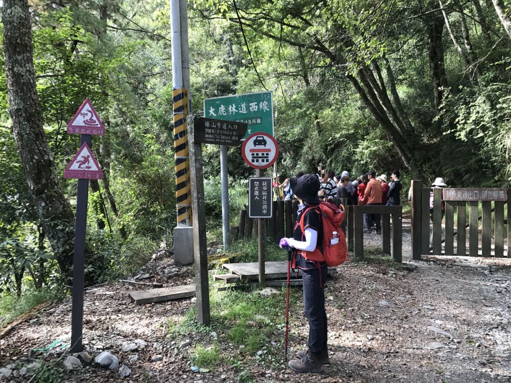 觀霧.榛山.雲霧步道_179013