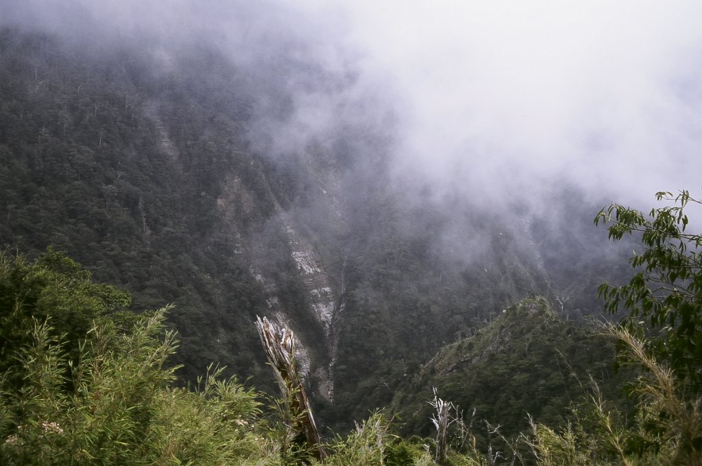 第一次的高山旅行 玉山八通關  2005_623381