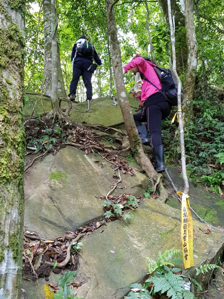 復興三尖之那結山_1423067
