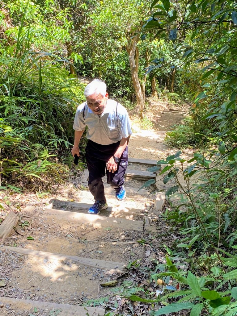 劍潭山步道封面圖