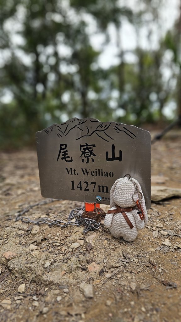 【錯過昨天的約定，今天用腳步致歉】⛰️尾寮山的魔王氣場依舊強大_2952106