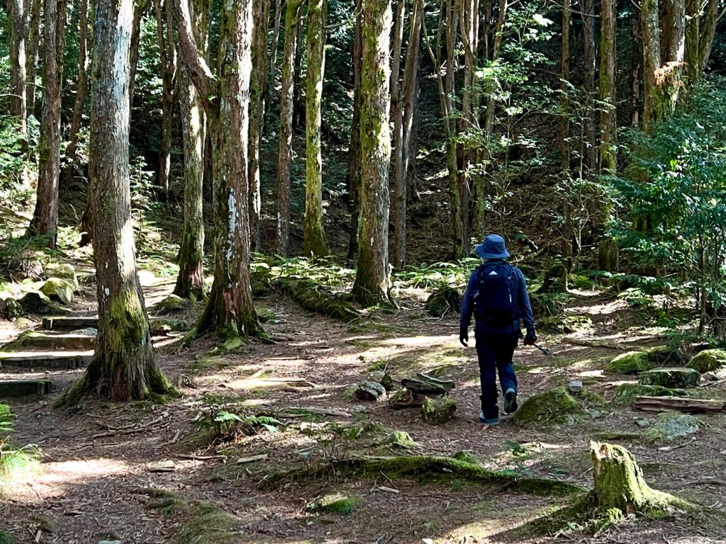 船型山環走大雪山210林道_2978029