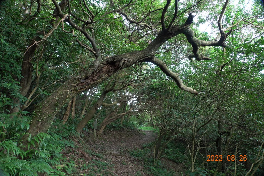 基隆 頂寮山、龍門山、五分山、頂子寮山_2265916