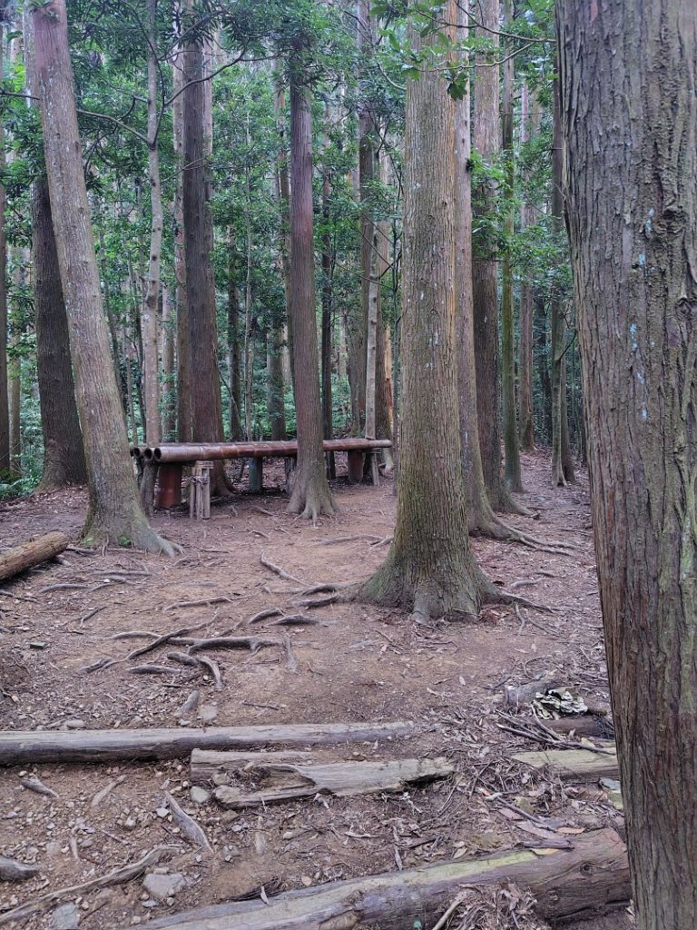 長壽山、肥崠山、醜崠山、大崠山、大崠山經建版_2931524