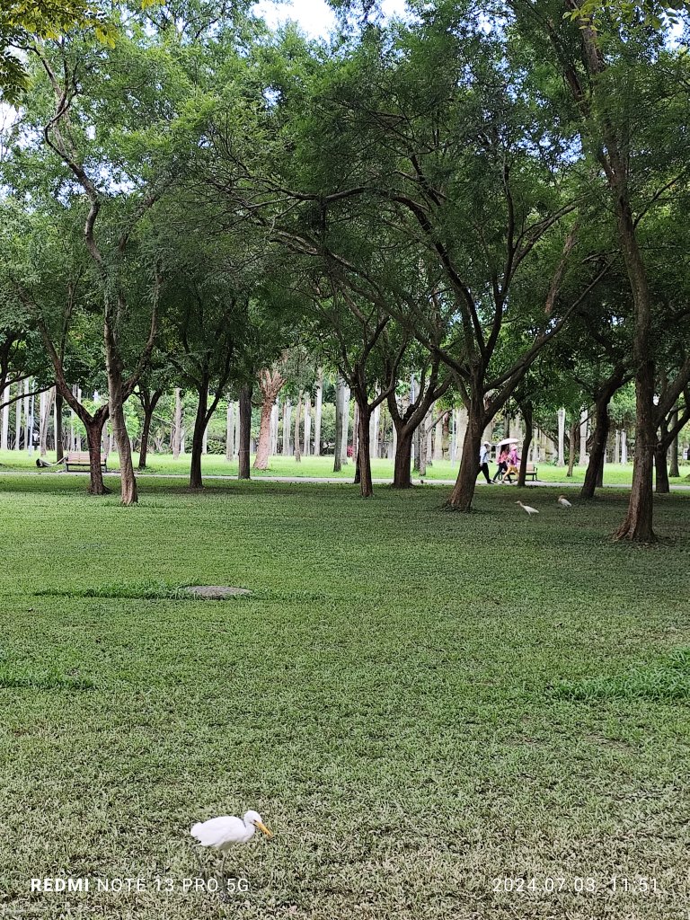 大安森林公園【走路趣尋寶】【臺北健走趣】_2541492