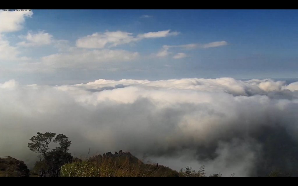 阿里山雲瀑&雲海/富士山直播即時視訊_841044