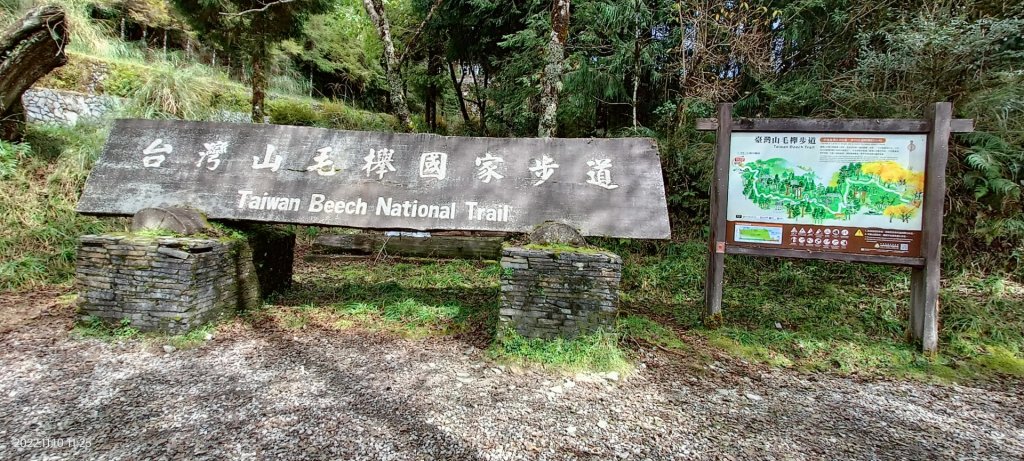 山毛櫸步道_2688998
