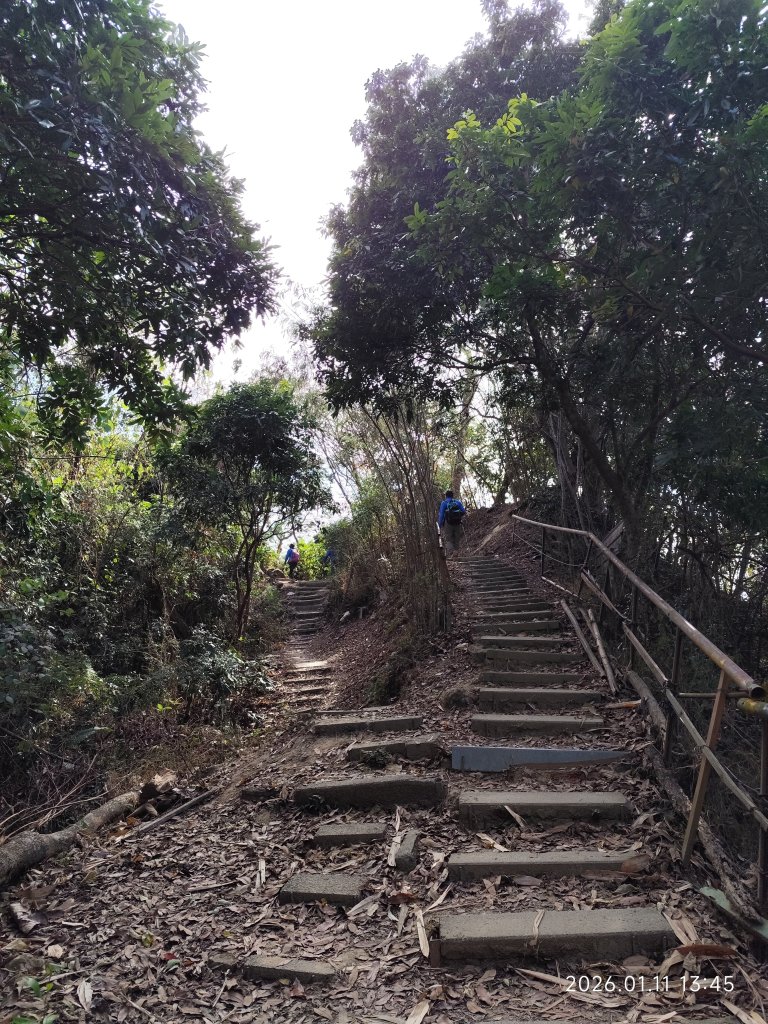 【臺中必訪步道】大坑9、10號步道  【小百岳集起來】#42 南觀音山_3009485