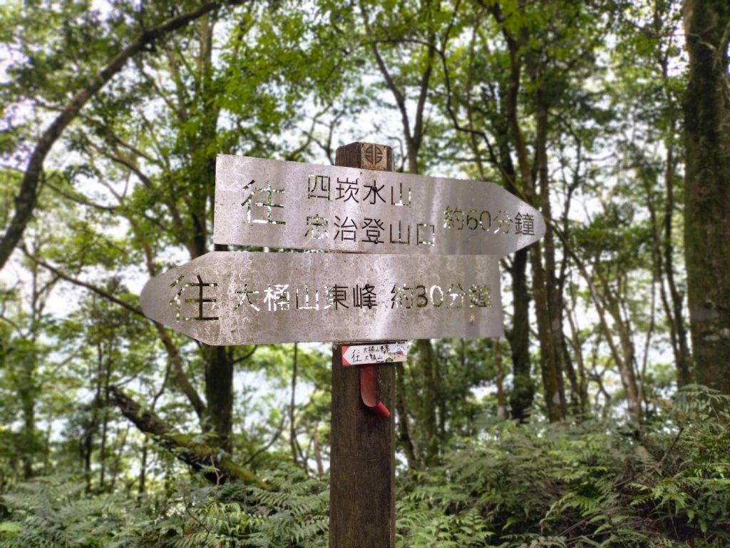 烏來大桶山（由桂山路攀登）封面圖