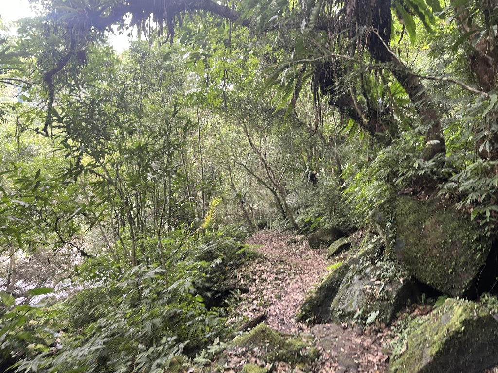 [淡蘭古道] 2024_0622 中路第四段-北勢溪古道_2533904