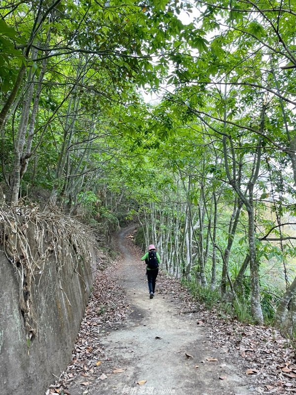 【南投。國姓】步道有些荒涼感。小百岳集起來。 編號47小百岳~九份二山_1372356