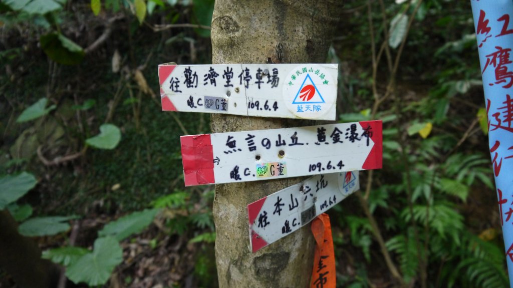 金瓜石黃金洞登山健行趣(郊山)_1519076