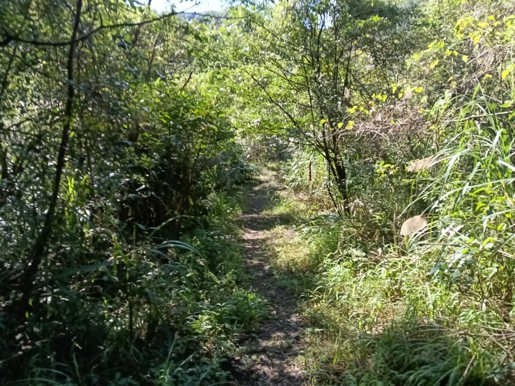 基隆市/萬里區界寮縱走之三界山+三界山西峰+開眼尖山+七分寮山+瑪七產道山泉水接水亭_2979523