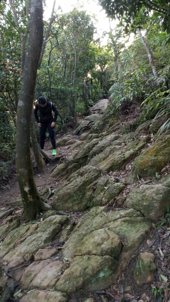 劍潭山/文間山/金面山尋幽_916583