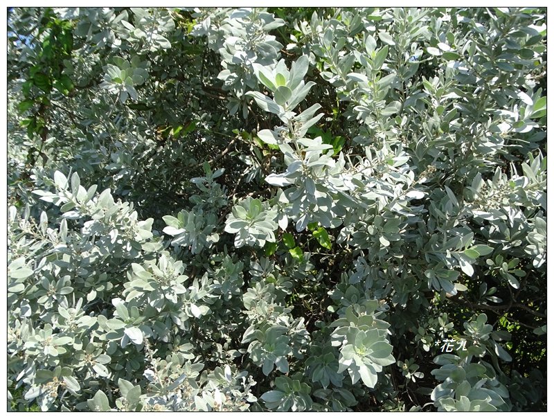 和平島環山步道_878142